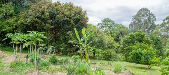Casa de 3 dormitorios en Nimbin, Australia No. 1116 17