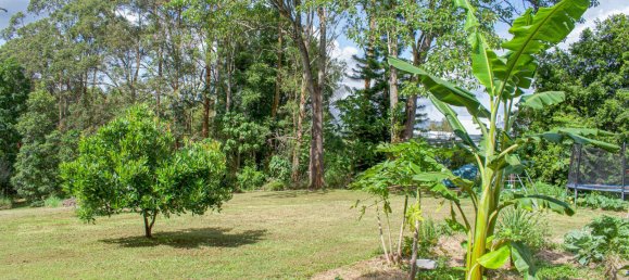 Casa de 3 dormitorios en Nimbin, Australia No. 1116 18