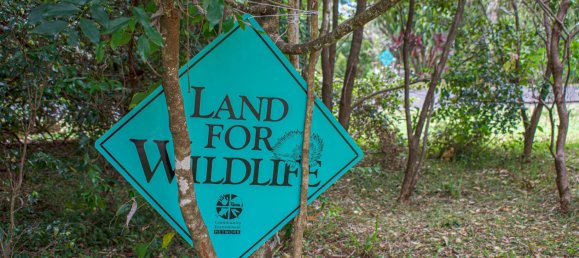 Casa de 3 dormitorios en Nimbin, Australia No. 1116 21