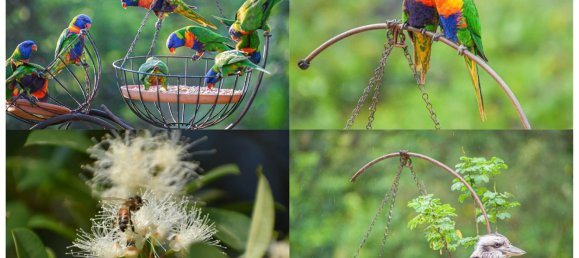 Casa de 3 dormitorios en Nimbin, Australia No. 1116 23