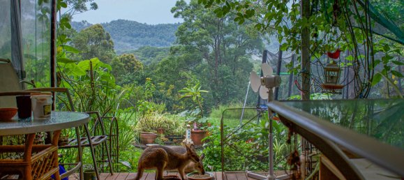 Casa de 3 dormitorios en Nimbin, Australia No. 1116 10