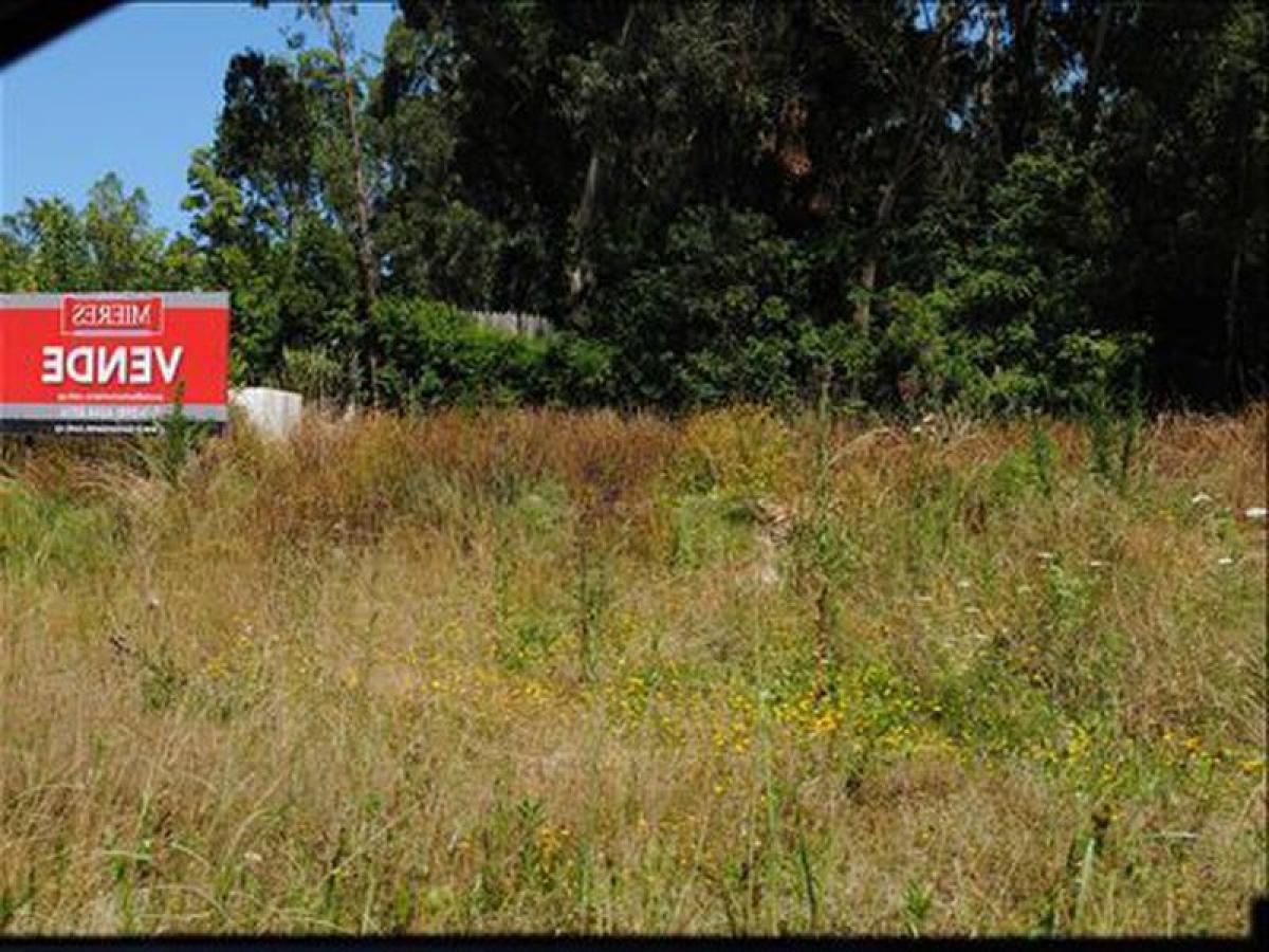 Grundstück in Maldonado, Uruguay, Nr. 16111