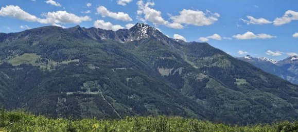 Terrain à Muhldorf, Austria No. 213741 3