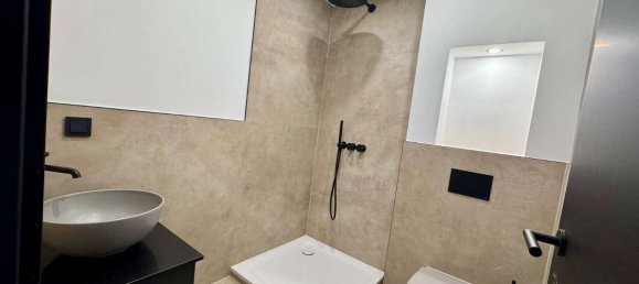 5غرفة بانتهاوس في Rhein-Neckar-Kreis, Germany رقم 368384 3