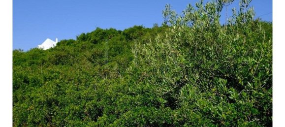 Terrain à Sintra, Portugal 12141m² No. 128909 14