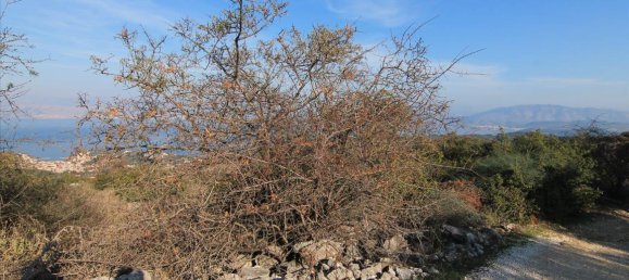 22000m² Hotel in Corfu, Greece No. 5379 4