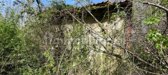 1 bedroom House in Licciana Nardi, Italy No. 355232 15