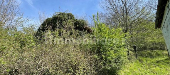 1 bedroom House in Licciana Nardi, Italy No. 355232 17