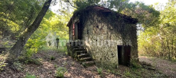 1 bedroom House in Licciana Nardi, Italy No. 355232 21