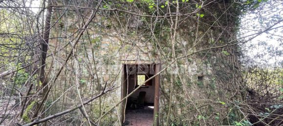 1 bedroom House in Licciana Nardi, Italy No. 355232 11