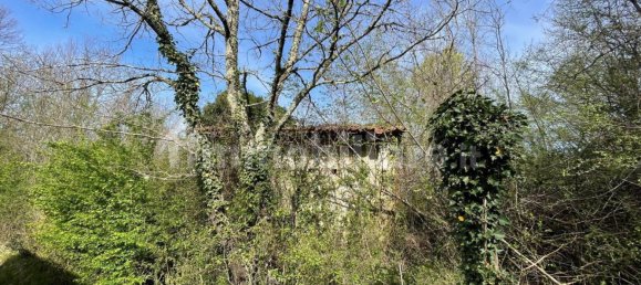 1 bedroom House in Licciana Nardi, Italy No. 355232 16