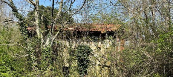 1 bedroom House in Licciana Nardi, Italy No. 355232 20