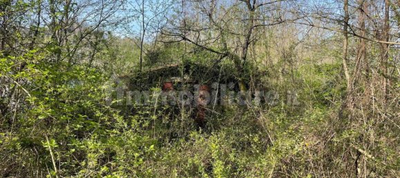 1 bedroom House in Licciana Nardi, Italy No. 355232 3