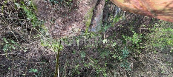 1 bedroom House in Licciana Nardi, Italy No. 355232 10