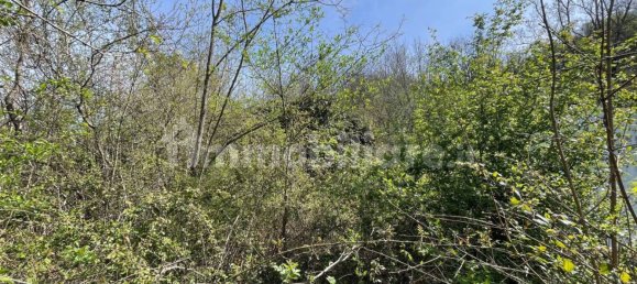 1 bedroom House in Licciana Nardi, Italy No. 355232 18