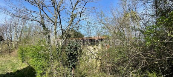 1 bedroom House in Licciana Nardi, Italy No. 355232 19