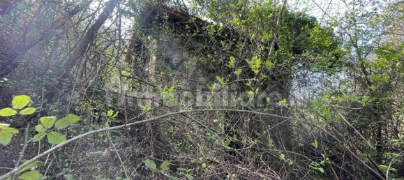 1 bedroom House in Licciana Nardi, Italy No. 355232 13