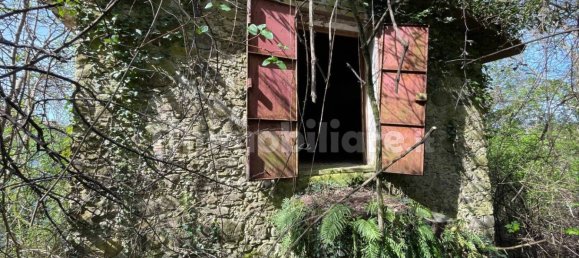 1 bedroom House in Licciana Nardi, Italy No. 355232 14