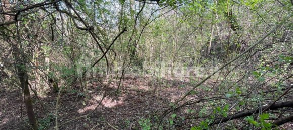 1 bedroom House in Licciana Nardi, Italy No. 355232 12