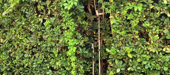 3 Schlafzimmer Wohnung in Santa Marinella, Italy, Nr. 372730 14