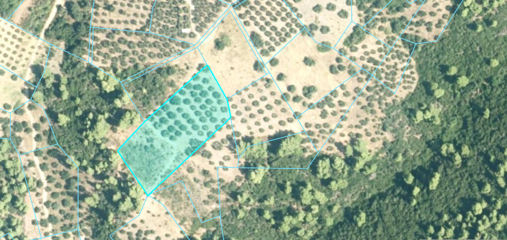 4903 m² hotel en venta en Chalkidiki, Central Macedonia, Macedonia and Thrace, Greece № 53866