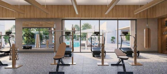 4 bedrooms Villa in The Valley, UAE No. 100709 3