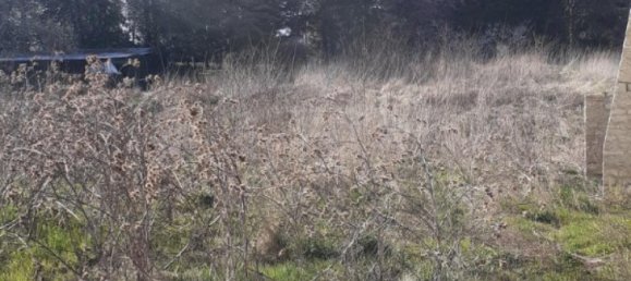 Land in Xirocourt, France No. 91321 3