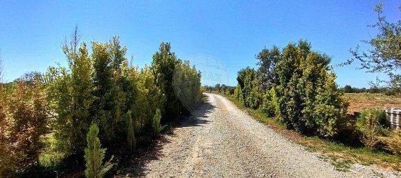 5 غرف نوم منزل في Guia, Portugal رقم 30048 23