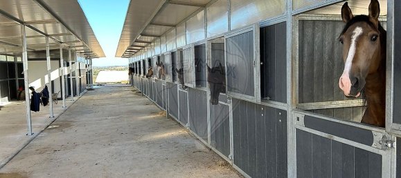 5 غرف نوم منزل في Guia, Portugal رقم 30048 24