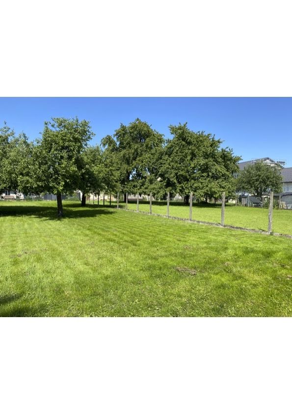 1450m² Land in Burnhaupt-le-Haut, France No. 58943