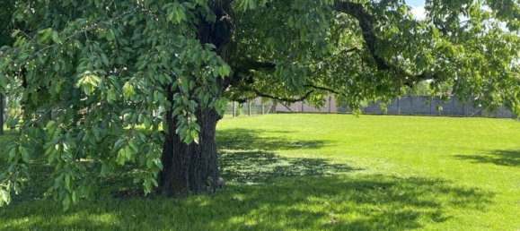 1450m² Land in Burnhaupt-le-Haut, France No. 58943 2