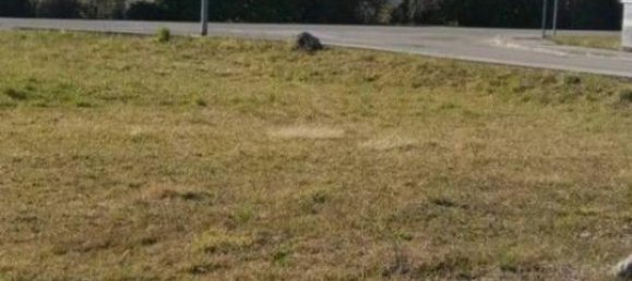 505m² Land in Pordenone, Italy No. 40124 6