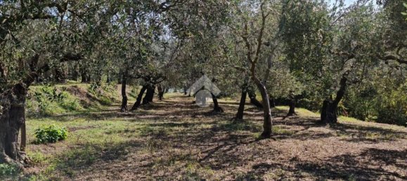 Terrain à Sant'Agata de' Goti, Italy 9000m² No. 139529 8