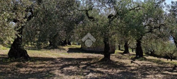 Terrain à Sant'Agata de' Goti, Italy 9000m² No. 139529 3