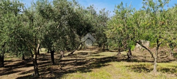 Terrain à Sant'Agata de' Goti, Italy 9000m² No. 139529 6