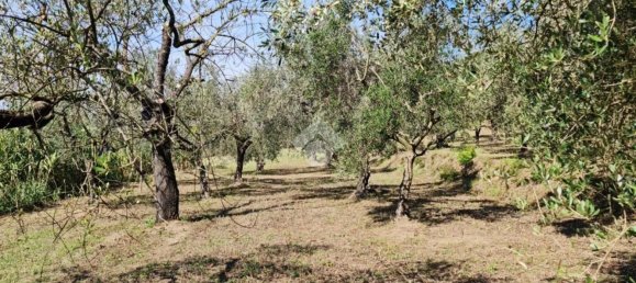 Terrain à Sant'Agata de' Goti, Italy 9000m² No. 139529 11