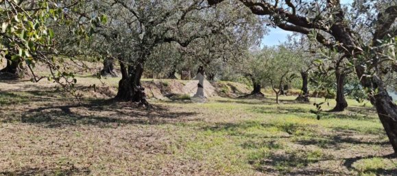 Terrain à Sant'Agata de' Goti, Italy 9000m² No. 139529 13
