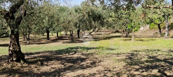 Terrain à Sant'Agata de' Goti, Italy 9000m² No. 139529 14