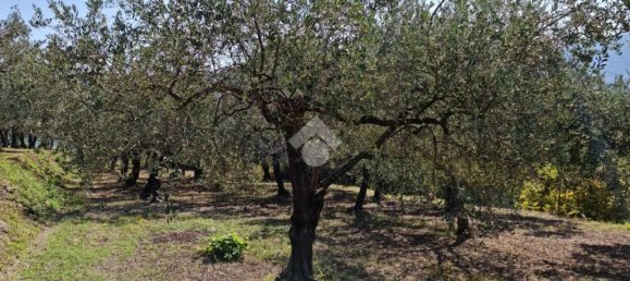 Terrain à Sant'Agata de' Goti, Italy 9000m² No. 139529 4