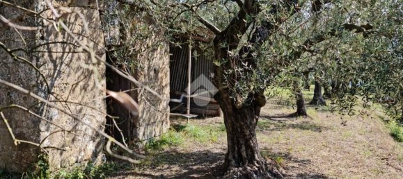 Terrain à Sant'Agata de' Goti, Italy 9000m² No. 139529 10