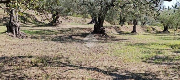 Terrain à Sant'Agata de' Goti, Italy 9000m² No. 139529 5