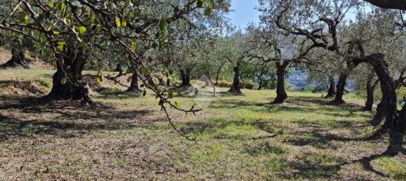 Terrain à Sant'Agata de' Goti, Italy 9000m² No. 139529 7