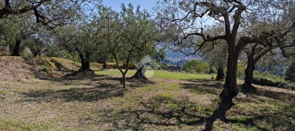 Terrain à Sant'Agata de' Goti, Italy 9000m² No. 139529 9