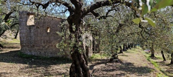 Terrain à Sant'Agata de' Goti, Italy 9000m² No. 139529 12