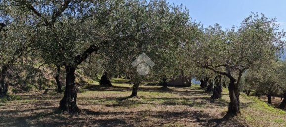 Terrain à Sant'Agata de' Goti, Italy 9000m² No. 139529 2