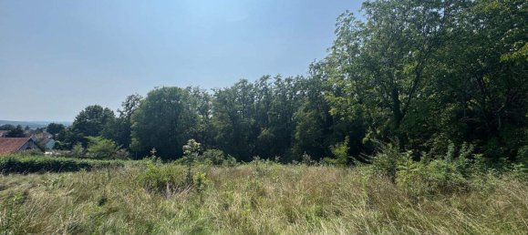  Land in Hartberg, Austria No. 221203 6