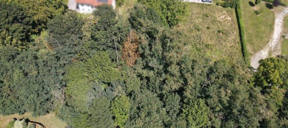  Land in Hartberg, Austria No. 221203 9