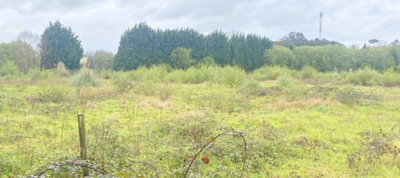 19835m² Land in Betanzos, Spain No. 48174 8