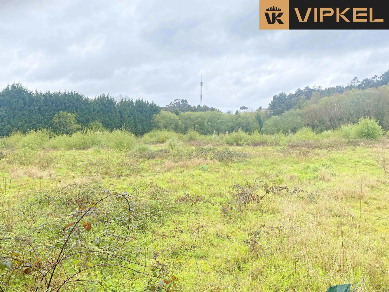 19835m² Land in Betanzos, Spain No. 48174