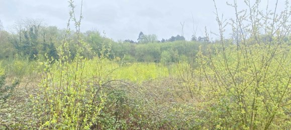 19835m² Land in Betanzos, Spain No. 48174 11